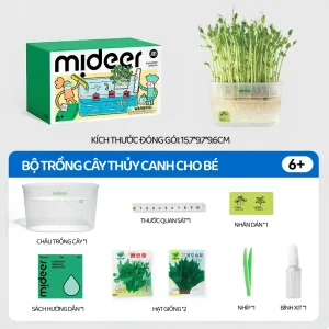 Bộ Trồng Cây Thủy Canh Cho Bé Mideer 6+